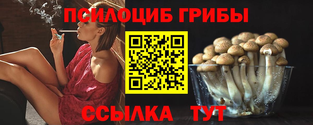 Галлюциногенные грибы Cubensis Карачаевск